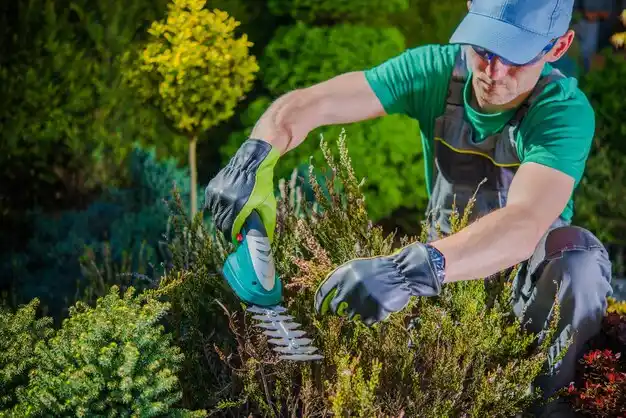 landscaping services Powell